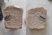 Внимание! В хлебе обнаружен неопознанный объект