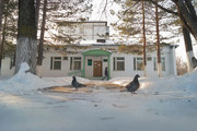 Новогодние мероприятия прошли в библиотеках Дальнереченска