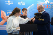 Подростку из Томска, чью собаку сбила машина, подарили щенка