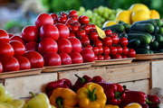 Урожай овощей в Приморье с начала года вырос на 16%