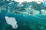 Найден способ очистки природы от незаметного пластика